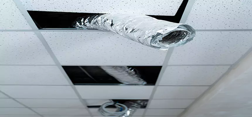 Affordable HVAC Sanitizing After Pest Removal in Pickerington