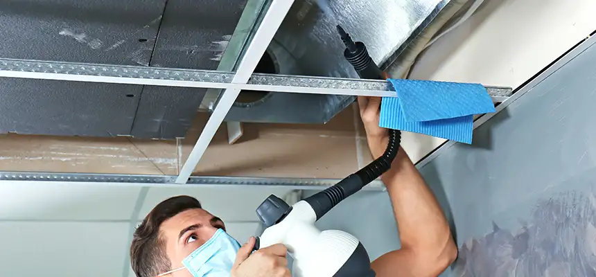 Our Air Duct Rodent Removal Services in Pickerington, OH