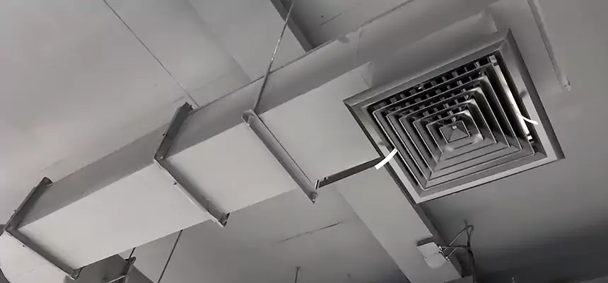 Our Pest Removal From Ducts Services in Pickerington, OH