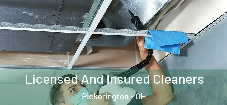  Licensed And Insured Cleaners Pickerington - OH