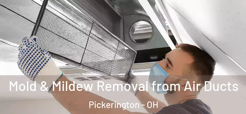  Mold & Mildew Removal from Air Ducts Pickerington - OH
