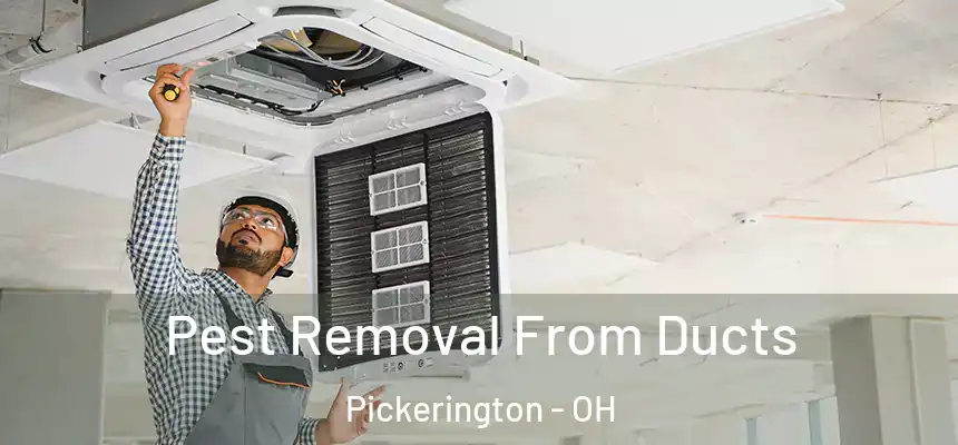  Pest Removal From Ducts Pickerington - OH