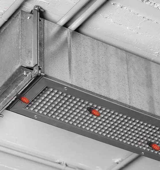 About Air Duct Cockroach Removal in Pickerington, OH