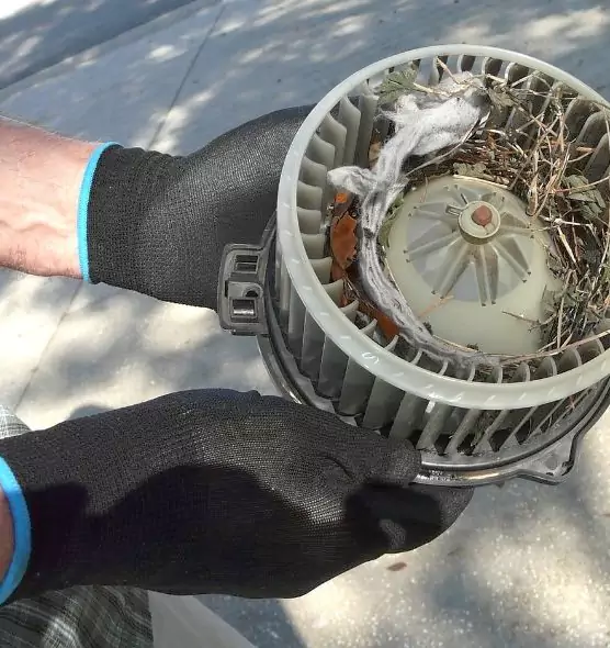 About Air Duct Rat Removal in Pickerington, OH