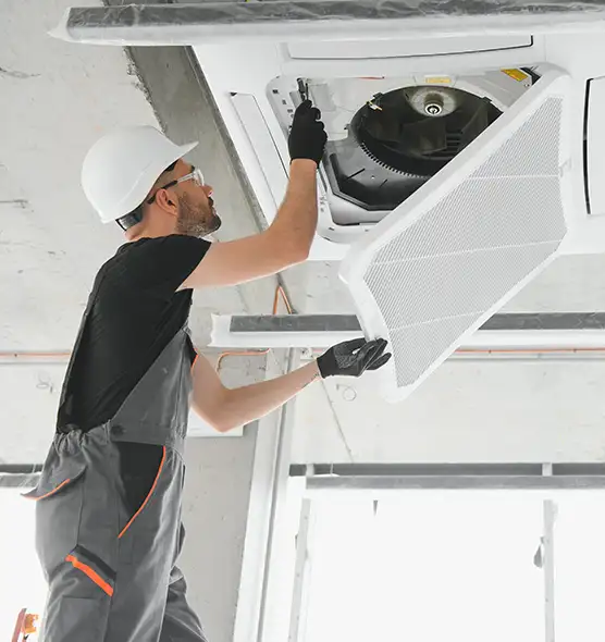 About Air Duct Rodent Removal in Pickerington, OH